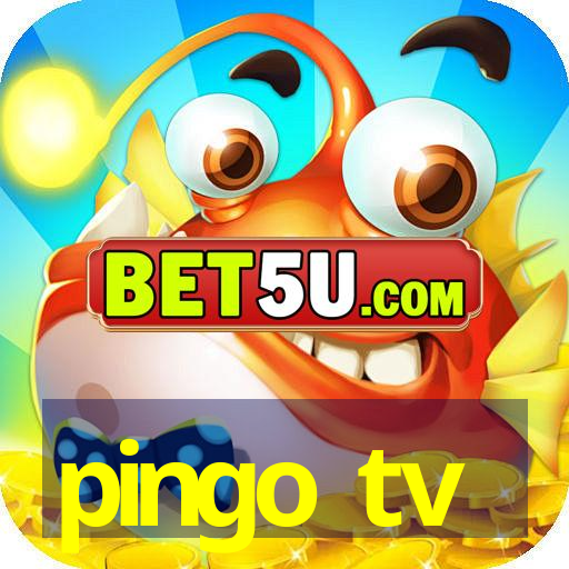 pingo tv